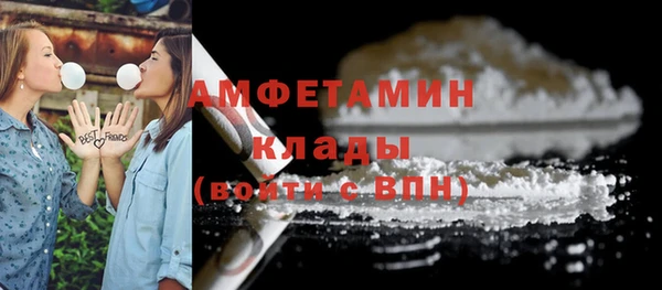 гашик Аркадак