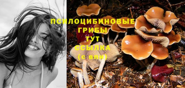 спиды Арсеньев