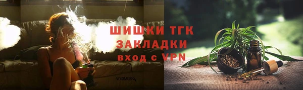 гашик Аркадак