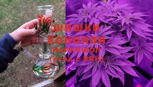 спиды Арсеньев