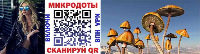 сколько стоит  Белая Холуница  Псилоцибиновые грибы MAGIC MUSHROOMS 